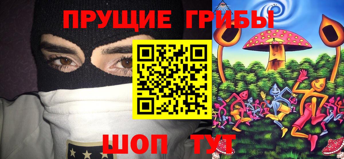 Галлюциногенные грибы ЛСД Егорьевск