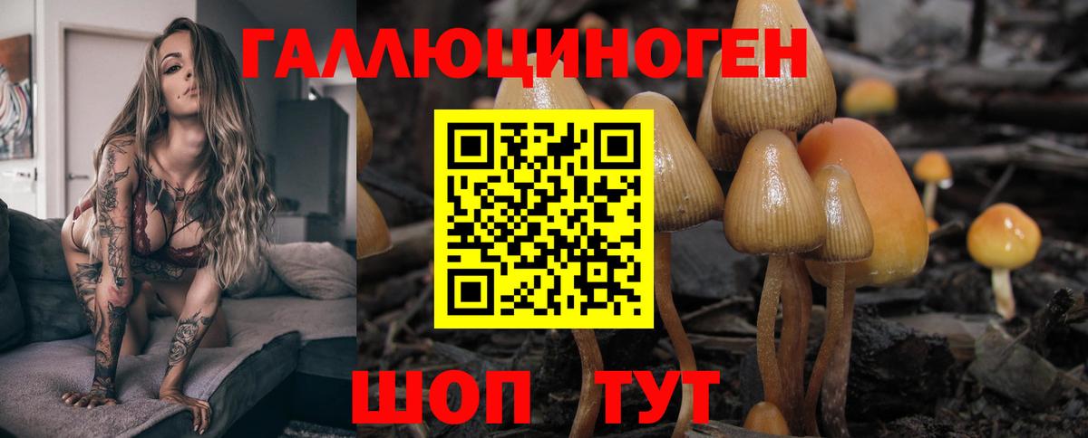 Галлюциногенные грибы Magic Shrooms  Вход с VPN  Псилоцибиновые грибы Psilocybine cubensis  купить наркотик  Егорьевск 